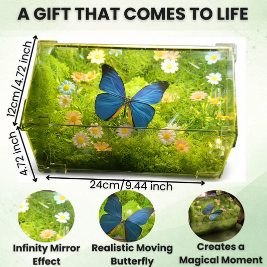 Butterfly Serenity Box – A Living Gift