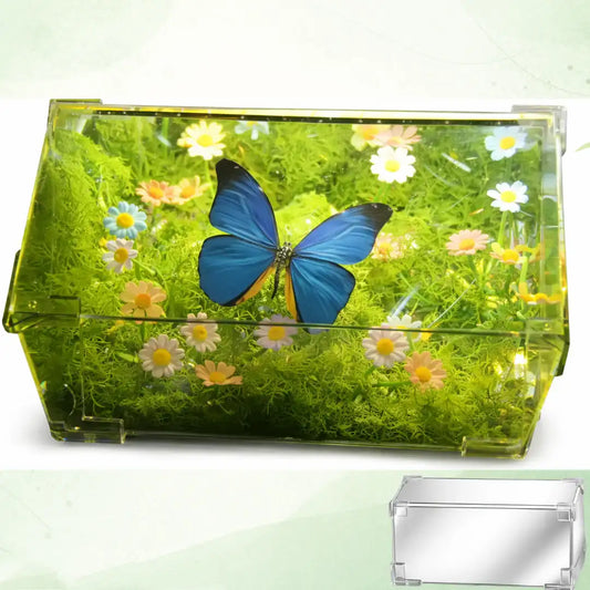 Butterfly Serenity Box – A Living Gift